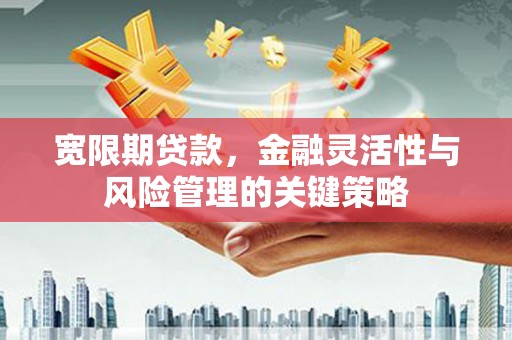 武山宽限期贷款，金融灵活性与风险管理的关键策略