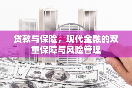 武山贷款与保险，现代金融的双重保障与风险管理