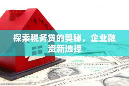 武山探索税务贷的奥秘，企业融资新选择