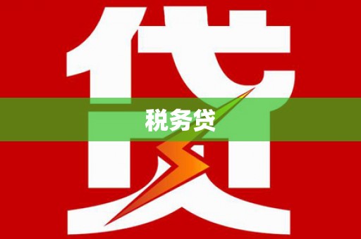 武山税务贷