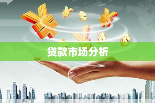 武山贷款市场分析