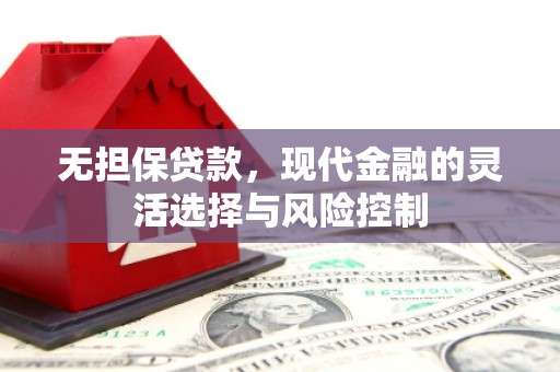 武山无担保贷款，现代金融的灵活选择与风险控制