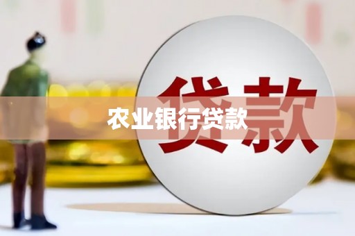 武山农业银行贷款