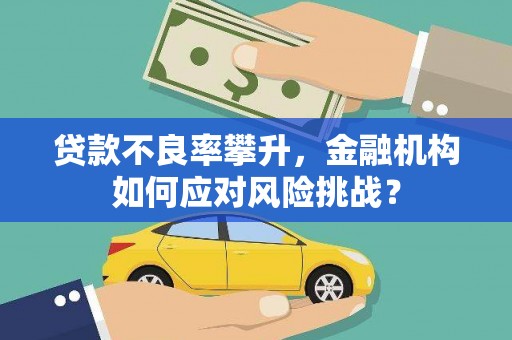 武山贷款不良率攀升，金融机构如何应对风险挑战？