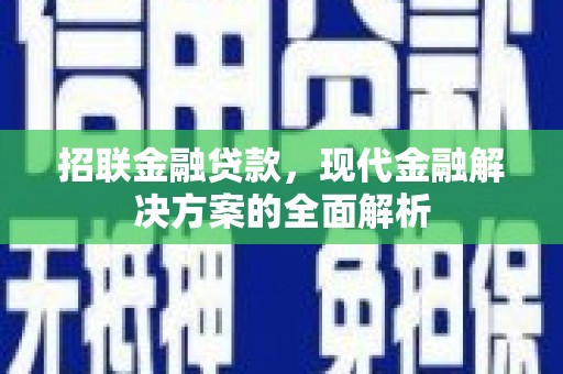 武山招联金融贷款，现代金融解决方案的全面解析