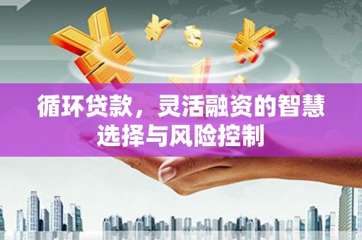 武山循环贷款，灵活融资的智慧选择与风险控制