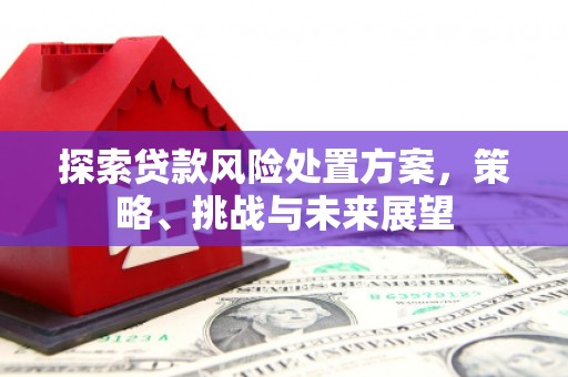 武山探索贷款风险处置方案，策略、挑战与未来展望
