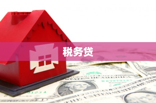 武山税务贷