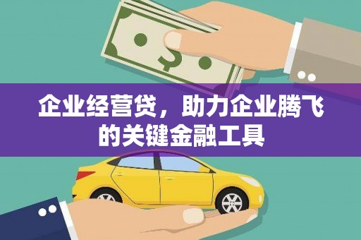 武山企业经营贷，助力企业腾飞的关键金融工具