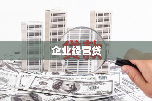 武山企业经营贷
