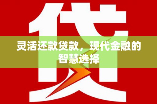 武山灵活还款贷款，现代金融的智慧选择