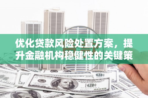 武山优化贷款风险处置方案，提升金融机构稳健性的关键策略