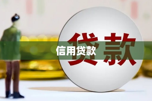 武山信用贷款