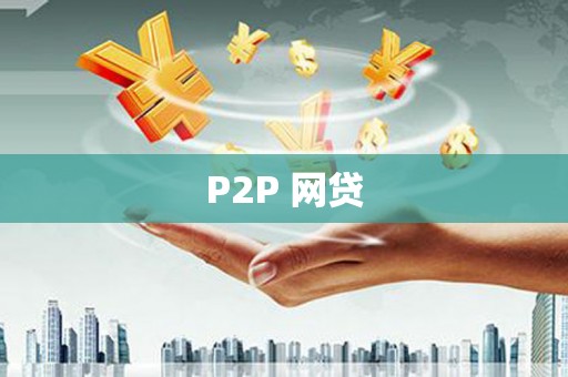 武山P2P 网贷