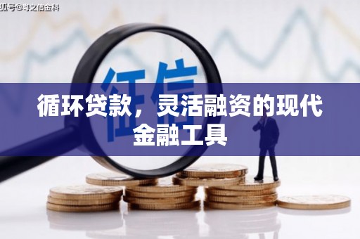 武山循环贷款，灵活融资的现代金融工具
