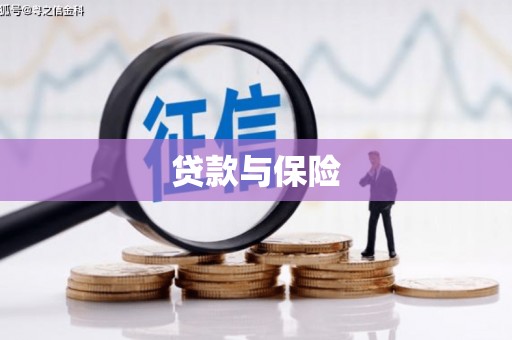 武山贷款与保险