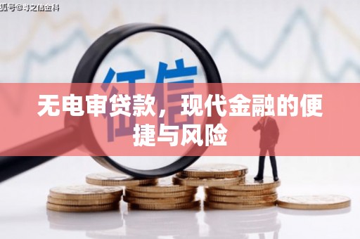 武山无电审贷款，现代金融的便捷与风险