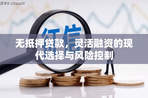 武山无抵押贷款，灵活融资的现代选择与风险控制