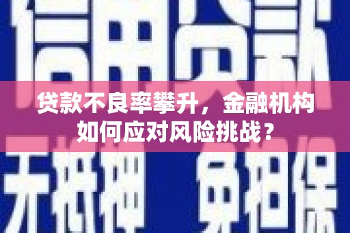 武山贷款不良率攀升，金融机构如何应对风险挑战？