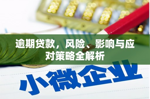武山逾期贷款，风险、影响与应对策略全解析