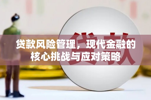武山贷款风险管理，现代金融的核心挑战与应对策略