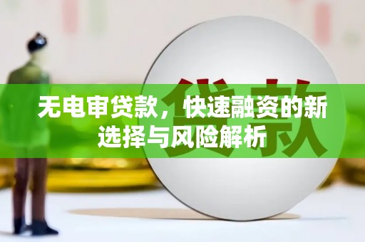 武山无电审贷款，快速融资的新选择与风险解析