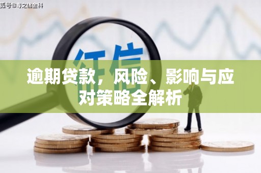 武山逾期贷款，风险、影响与应对策略全解析