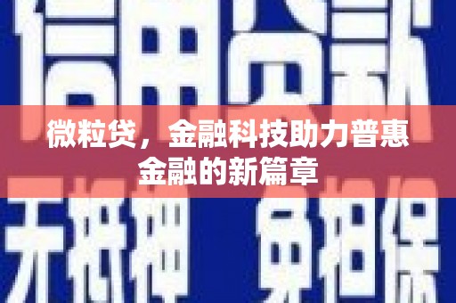 武山微粒贷，金融科技助力普惠金融的新篇章
