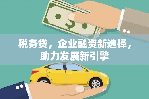 武山税务贷，企业融资新选择，助力发展新引擎