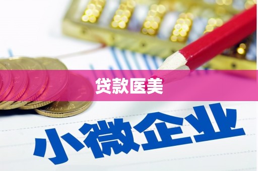 武山贷款医美