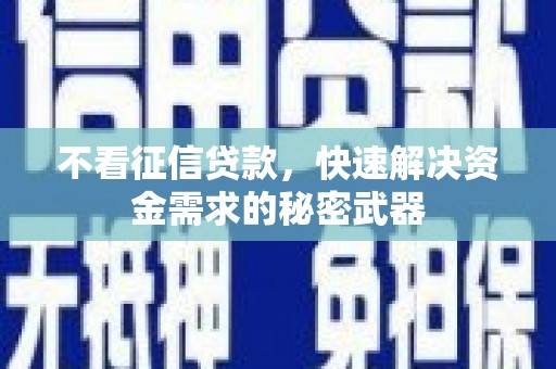 武山不看征信贷款，快速解决资金需求的秘密武器