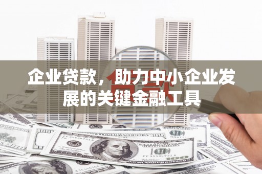 武山企业贷款，助力中小企业发展的关键金融工具