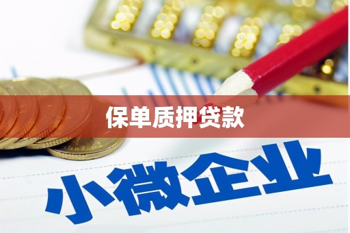 武山保单质押贷款