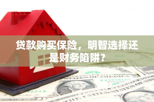 武山贷款购买保险，明智选择还是财务陷阱？