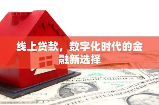 武山线上贷款，数字化时代的金融新选择