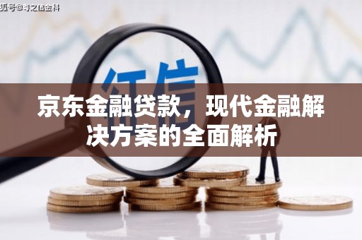武山京东金融贷款，现代金融解决方案的全面解析