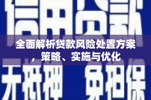 武山全面解析贷款风险处置方案，策略、实施与优化
