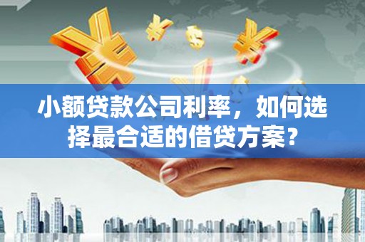 武山小额贷款公司利率，如何选择最合适的借贷方案？