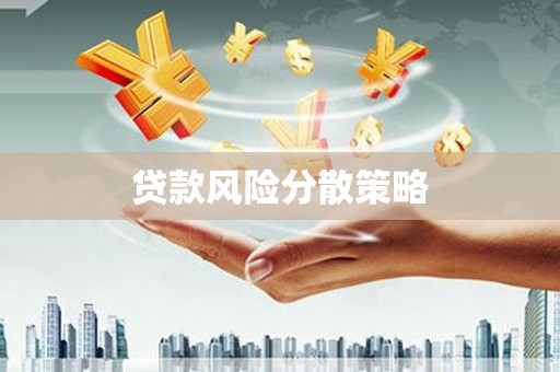武山贷款风险分散策略