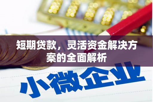 武山短期贷款，灵活资金解决方案的全面解析