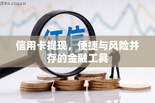 武山信用卡提现，便捷与风险并存的金融工具