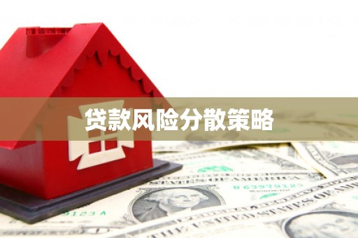 武山贷款风险分散策略