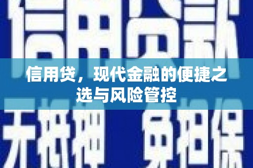 武山信用贷，现代金融的便捷之选与风险管控
