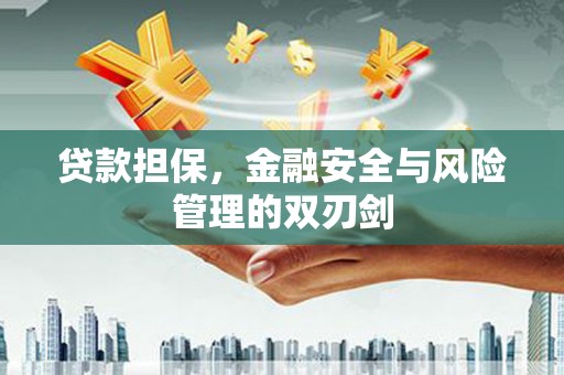 武山贷款担保，金融安全与风险管理的双刃剑
