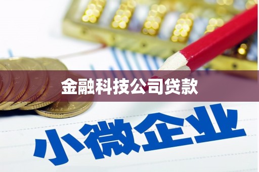 武山金融科技公司贷款