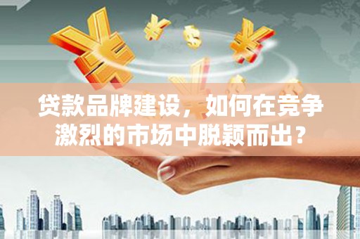 武山贷款品牌建设，如何在竞争激烈的市场中脱颖而出？