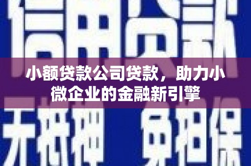 武山小额贷款公司贷款，助力小微企业的金融新引擎