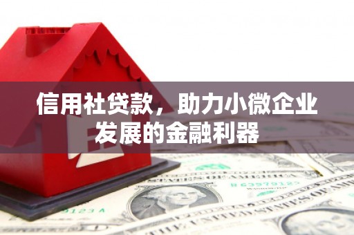武山信用社贷款，助力小微企业发展的金融利器