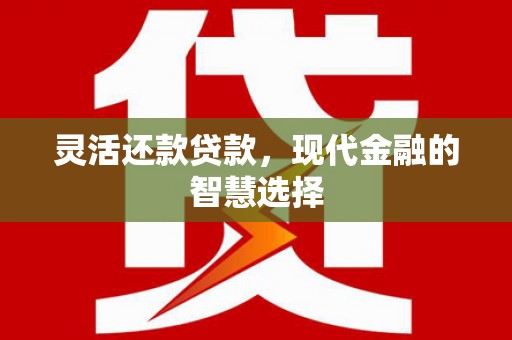 武山灵活还款贷款，现代金融的智慧选择