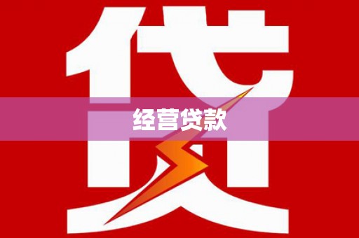 武山经营贷款